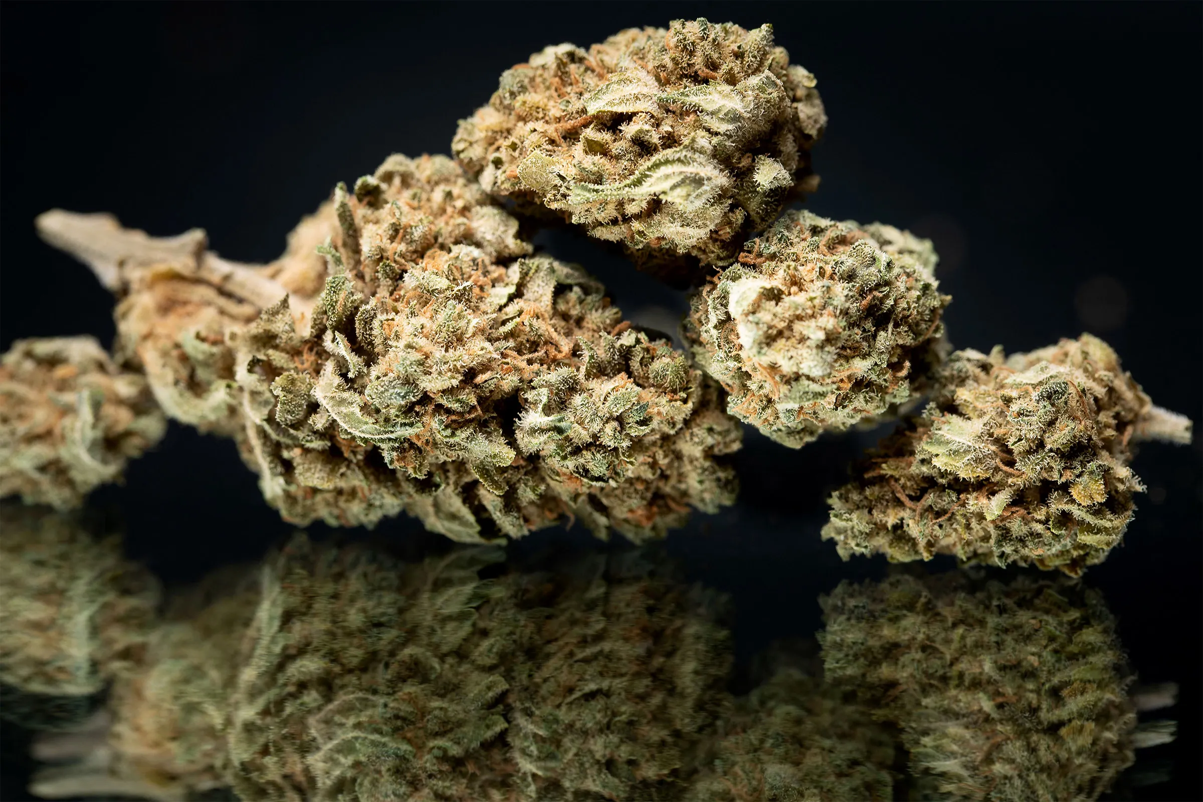 Elevate Your Cannabis Experience at the Leading Legal Marijuana Dispensary EU