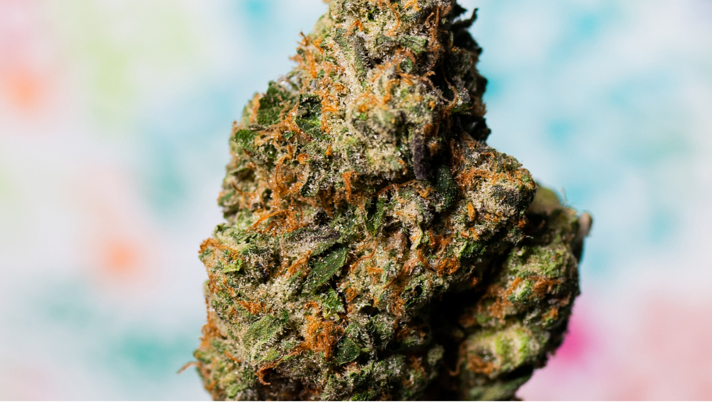 Marijuana Buds UK: Understanding Cannabis Regulations