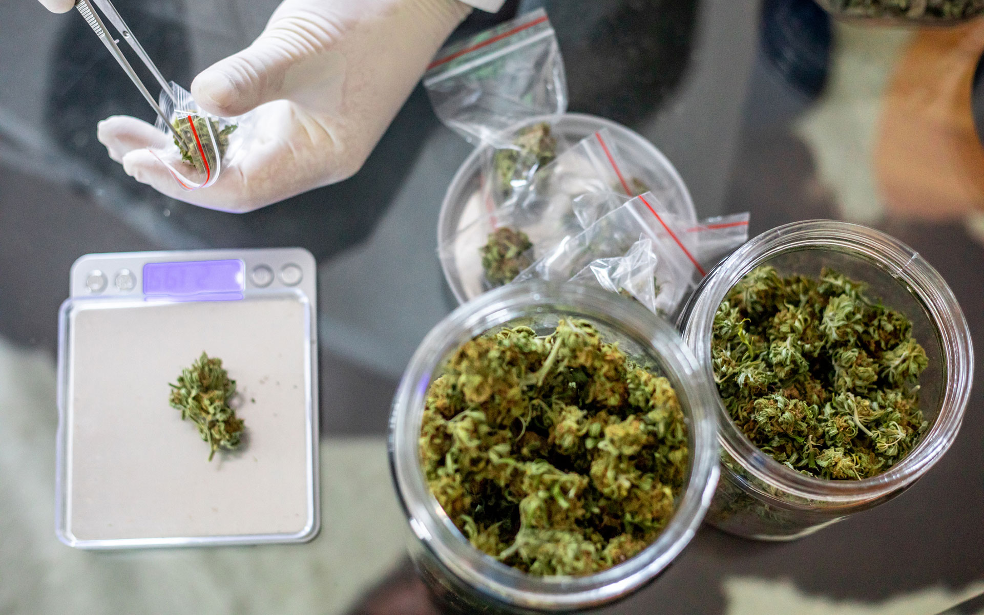 Elevate Your Cannabis Experience at the Leading Legal Marijuana Dispensary EU